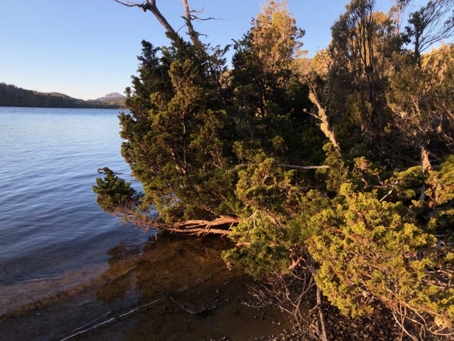 V8oXLF6XXheiASHj2BGY