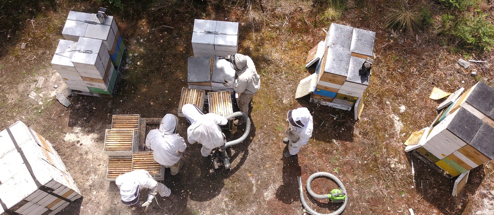 VsAXa9a6AZFOYlnLpBvZ