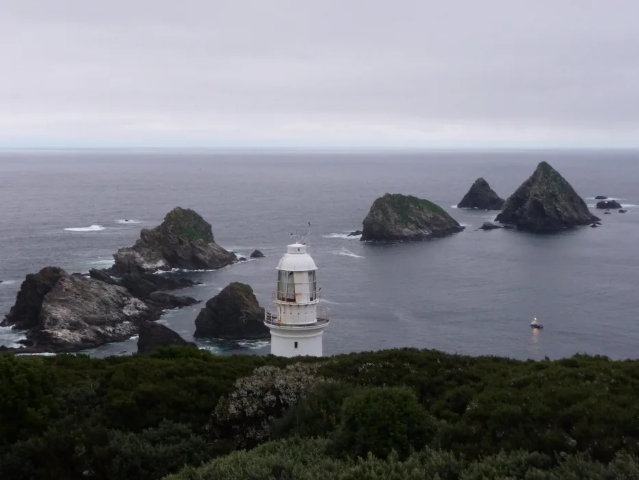 WQCplj4EUFivxEevjjpC