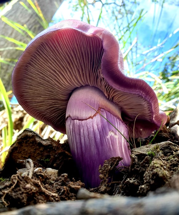 X0ct7hIkvYXdoDF7K8KS