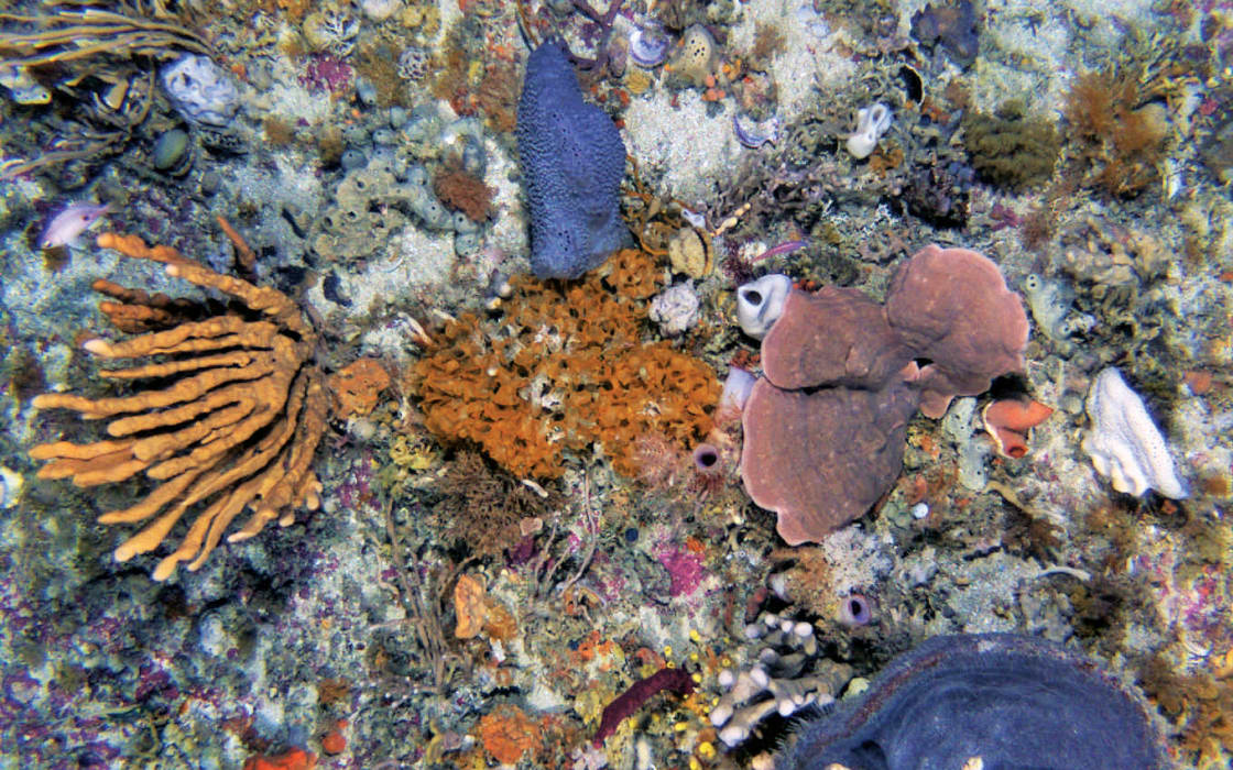 Ya9x0O0XzX8eBOv3hOvM