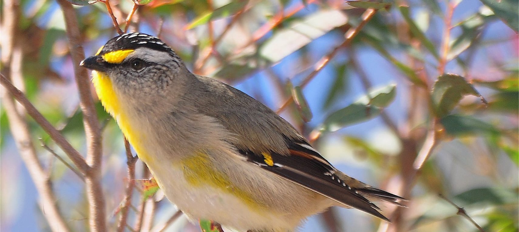 YiTM4S3DCYwbOOF2ckRU