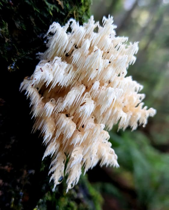 YtfpgP7ftGy9S7r0JL2X