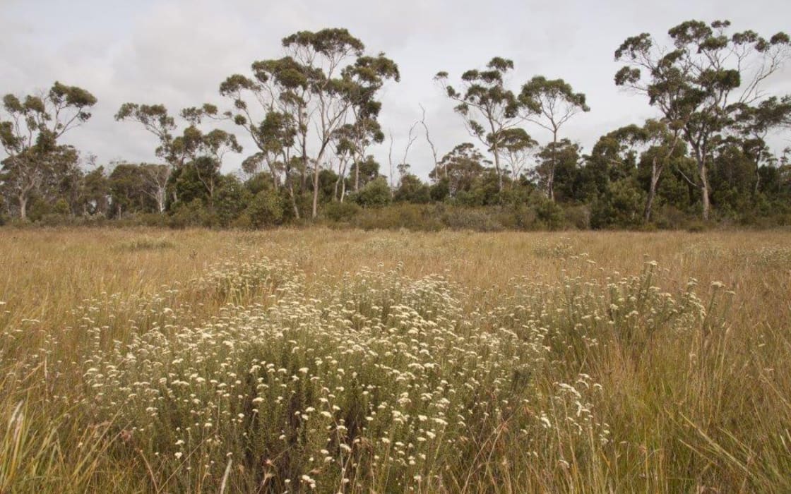 ZszEIYwBRFFakkoMz6c4