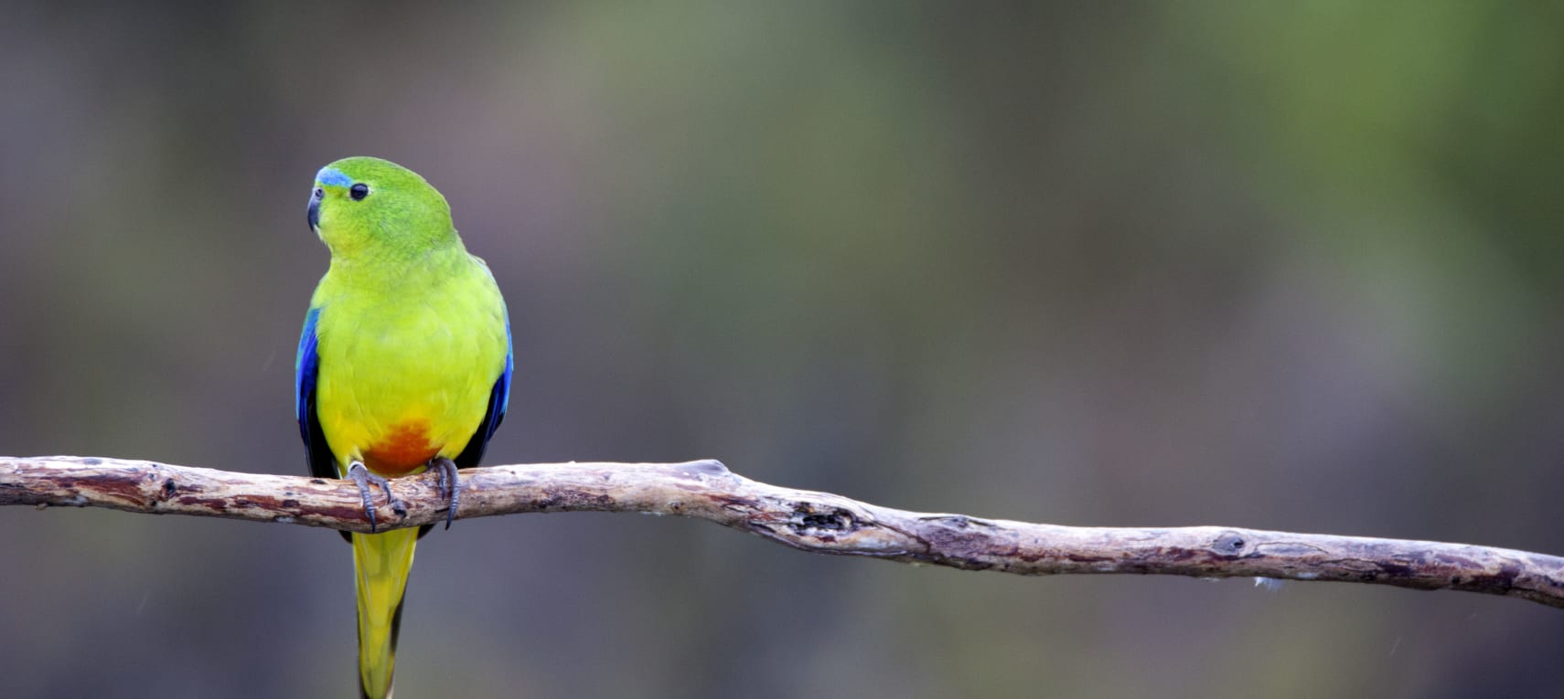 a8zT580GHVeKwY3cx8tV