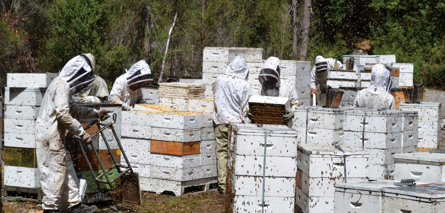 bXk17a1gqZ1huzLy2Hh0