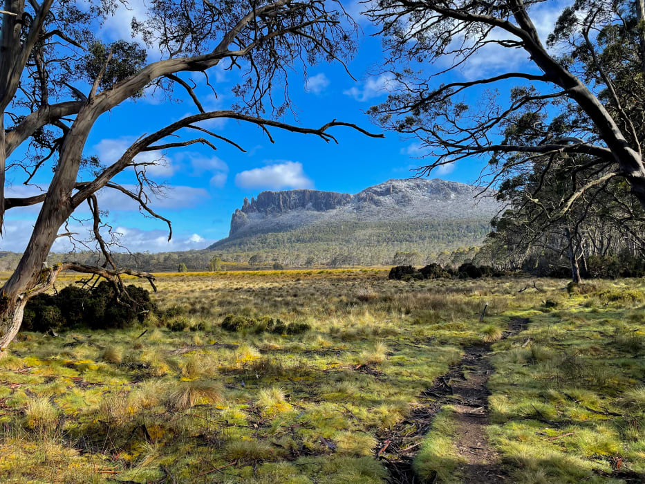 dbvNtNHSEYFj1V4umnPb