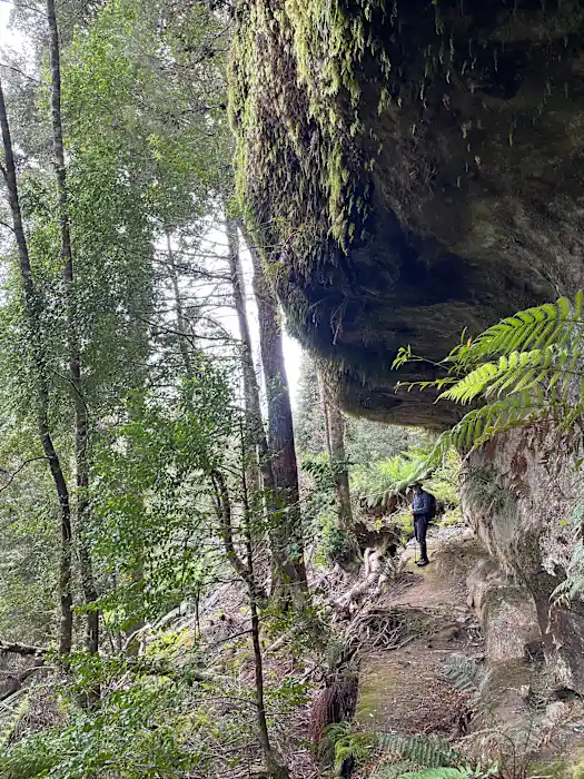 djGCAjzczGw7IrSOTX1y