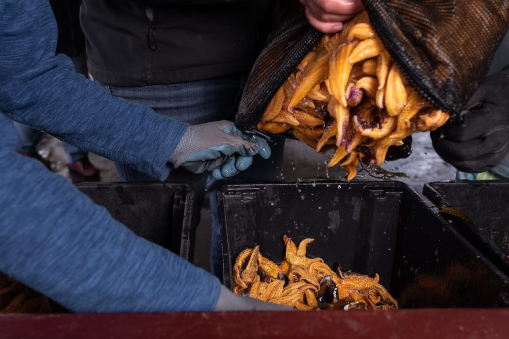 e6gCG94tPcuwajCcLjsP