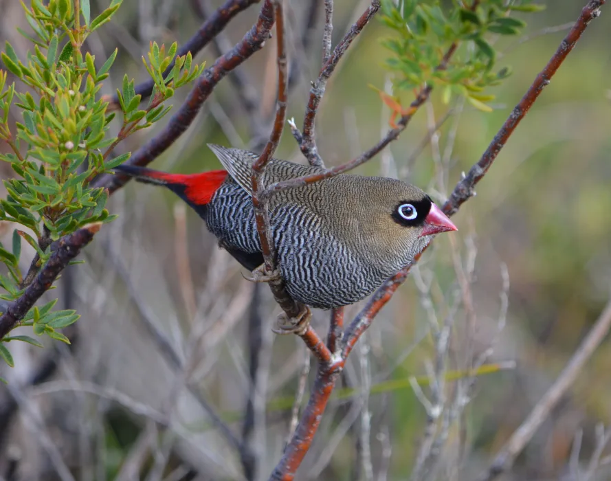 eGMp6AfH7shaFXMkDVkq