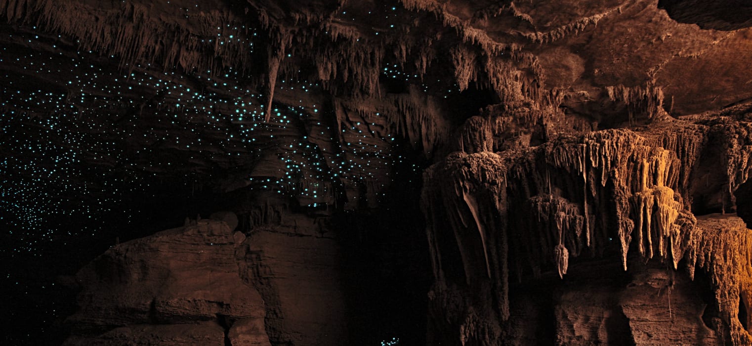 gdMUOf7WpfYMVOVWQ07o (3)