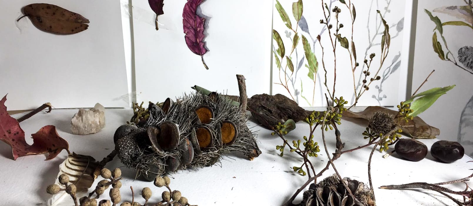 hoIrrUmwThbLWTxVEq0p