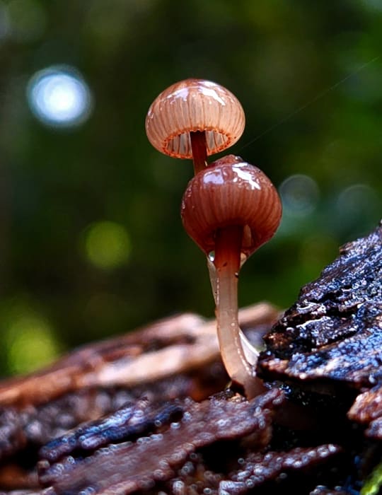 i1SXaVxZ0zpc6r6RDtmg