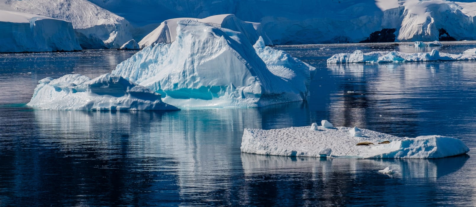 i2qplX3BFNK2DoRjS72L (1) - Copy