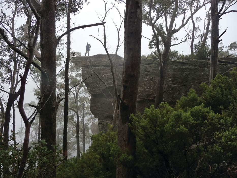 iEvugGFe6XyW52Xw6QLK