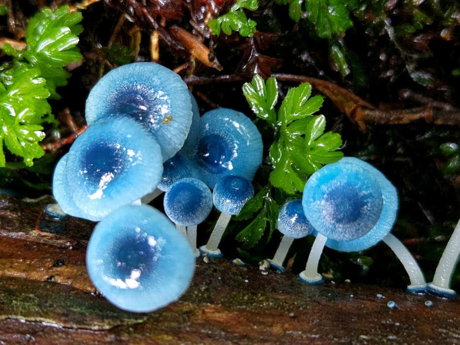 iO6yndOgAkkl8trx0cMK