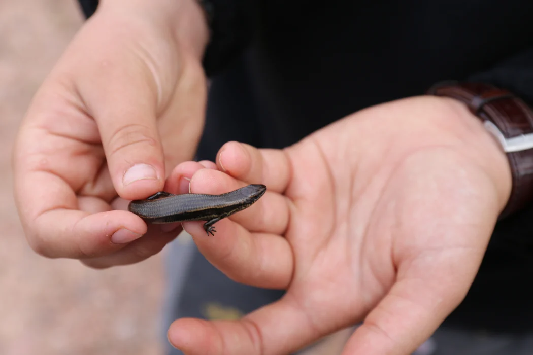 iVQ5odz7ajVGn9IByU3V