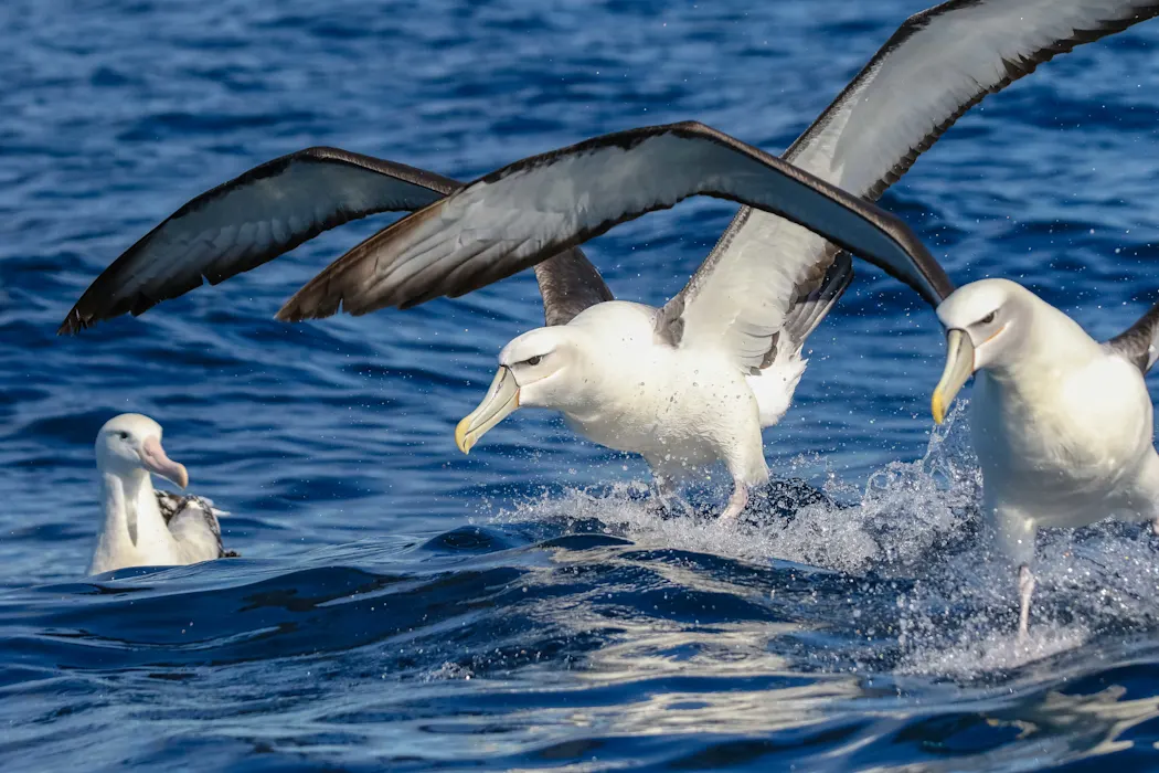 kRbvKx8ZYEnpkkIzK3jR