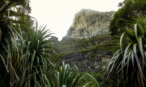 l0wh7xzIsHnRhR2IQ0MV