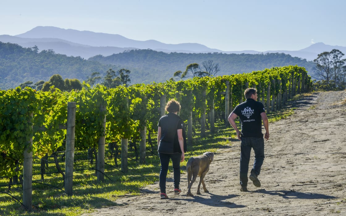 l3BK9khi3ZFLwVBo9N96 (1)