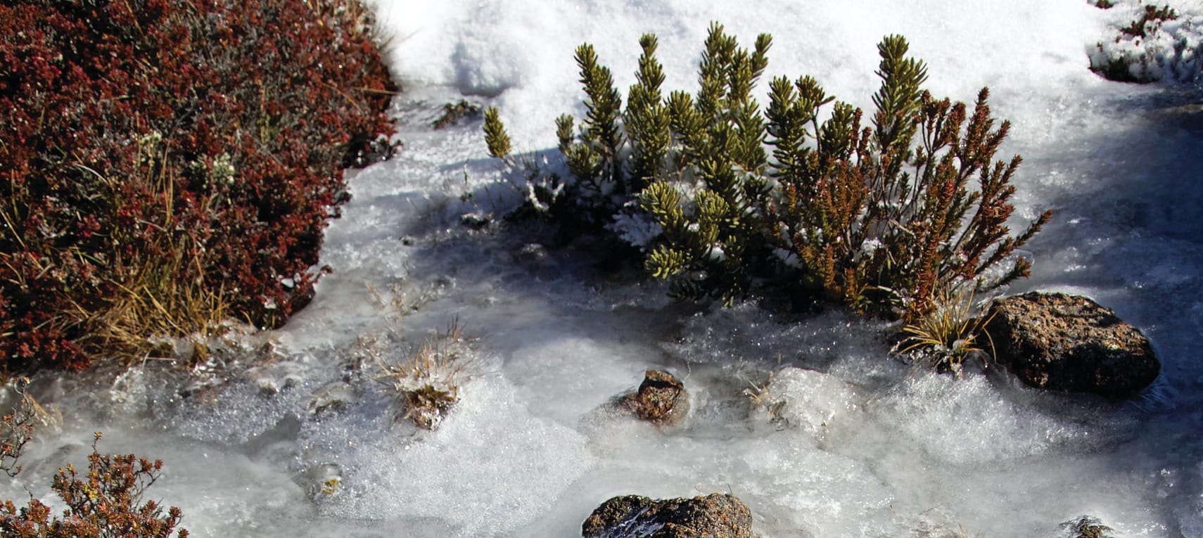 lQlVTVWRGJZMhP350XvZ