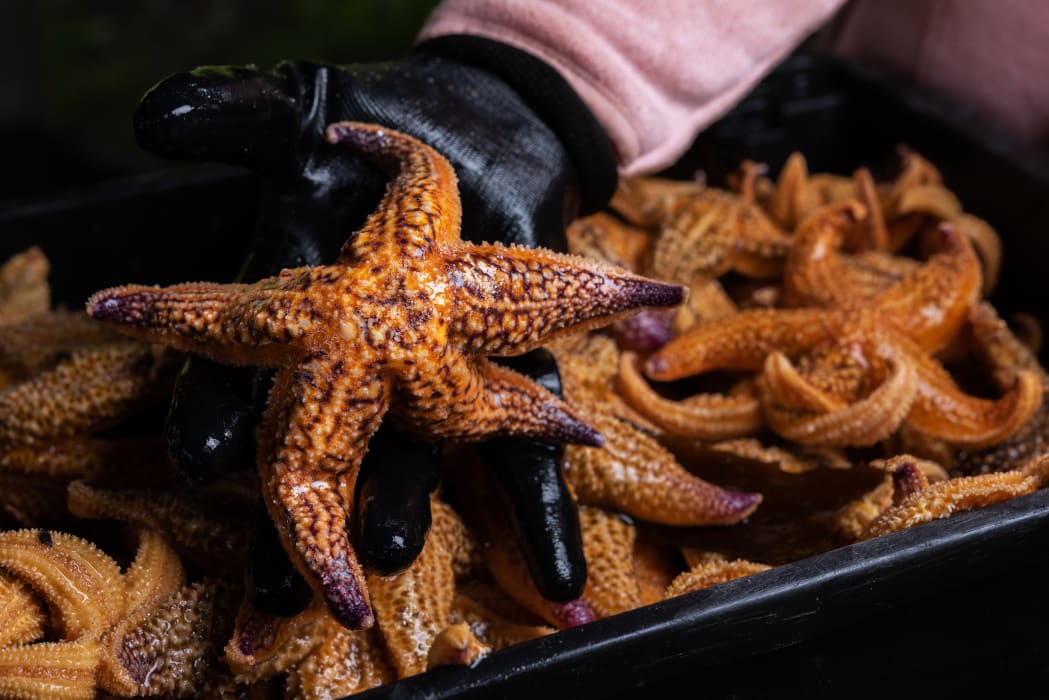 lzHODMVFuXK7mCDo0FOc