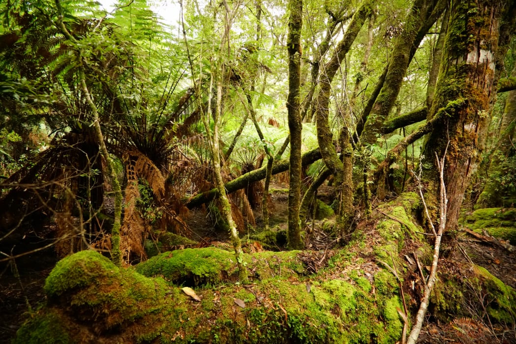 mnbBvBgvJsITyXcsaLGq (1)