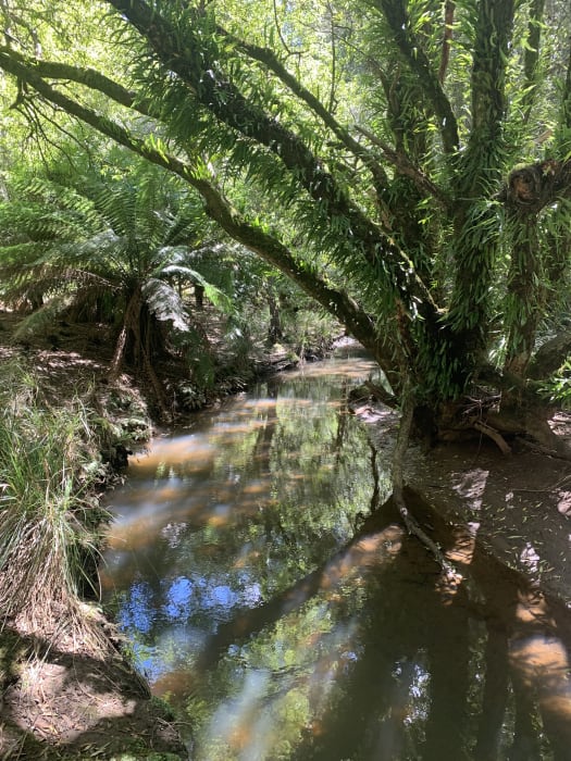 n5BMczgdeKmAHjzOV2f3 (1)