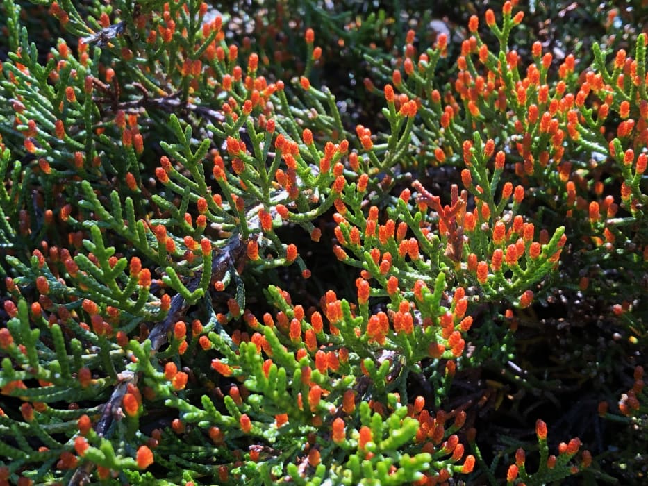 oX7FvZAnNFnkTldsGToc