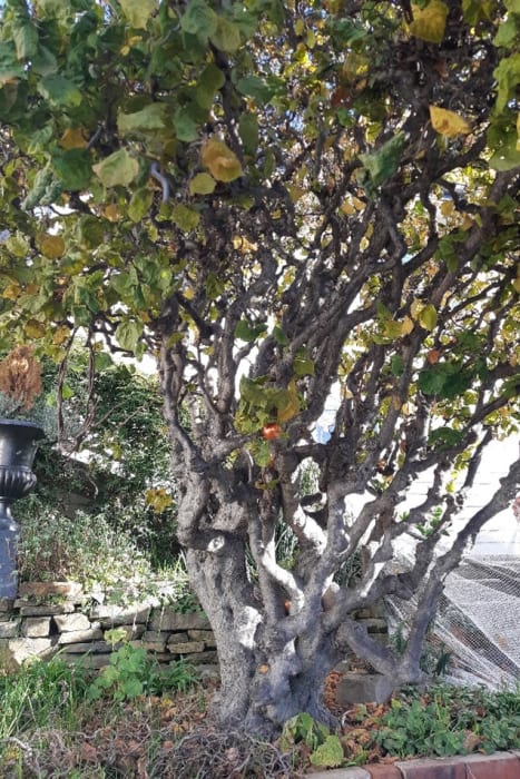 pqwD4ED5Kkz3BsXjmoEp