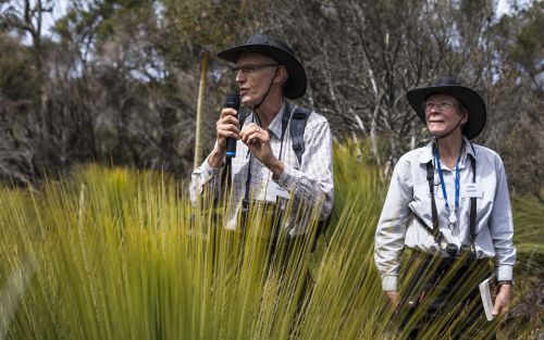 pwSvhAIqbSMS8GeFoczC