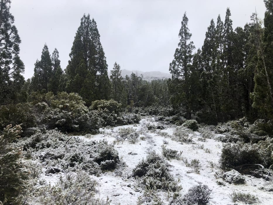 q0msSlfjdi0o9WZJPDor