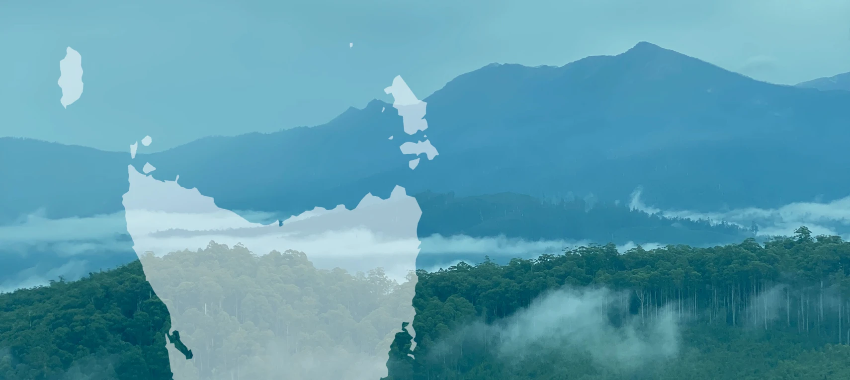 qsidY8vM95Io5TF5gnhw