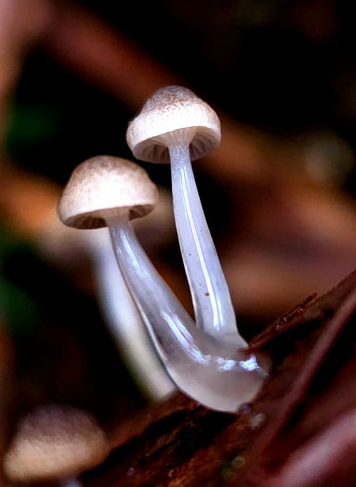 qxWhBrQwsRKnaNY7zzai