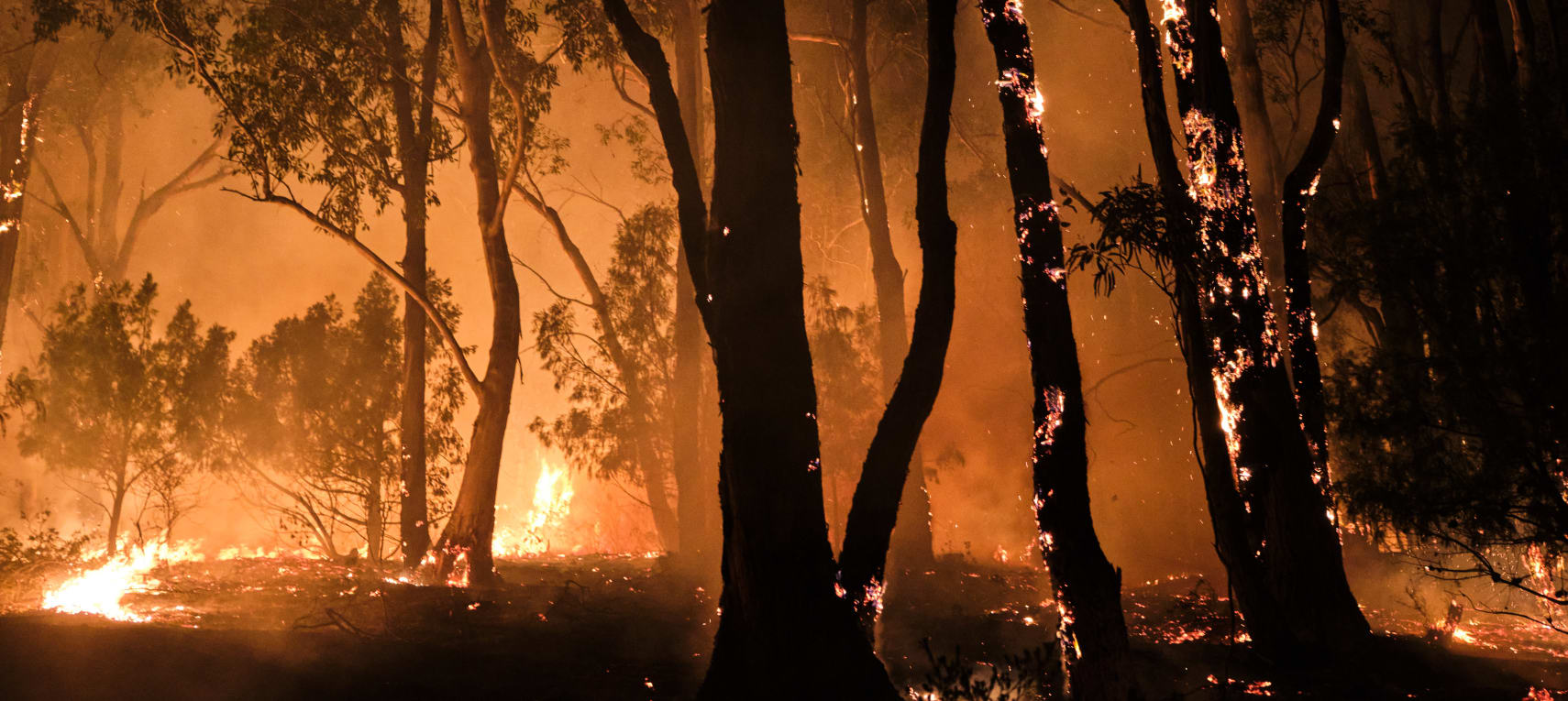 sO3hfHzIHksXJNYc5RXA