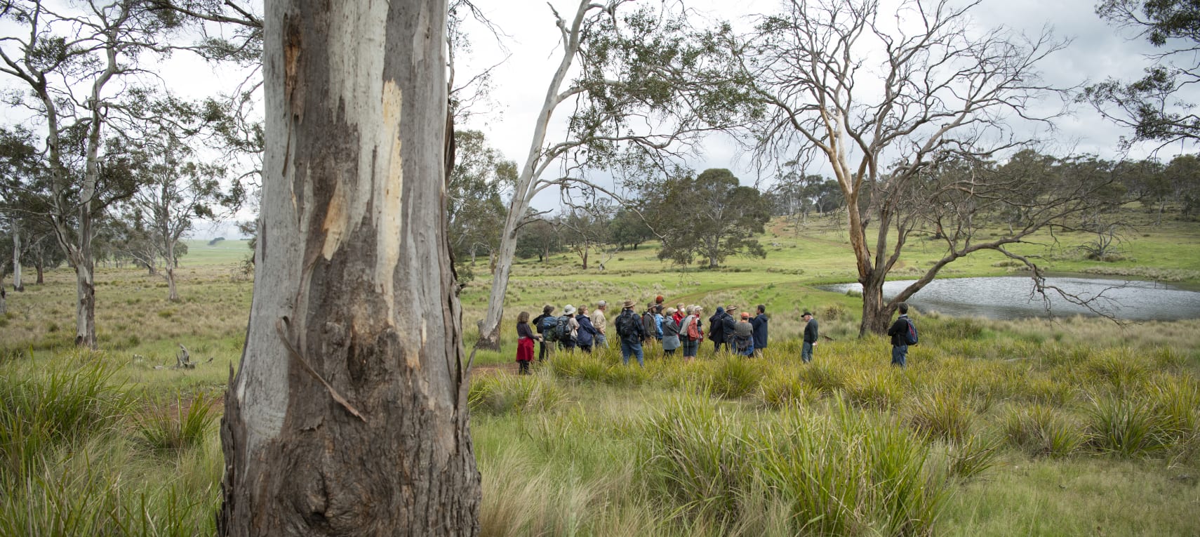 serkWSi57ipXdRsW5Nn2 (1)