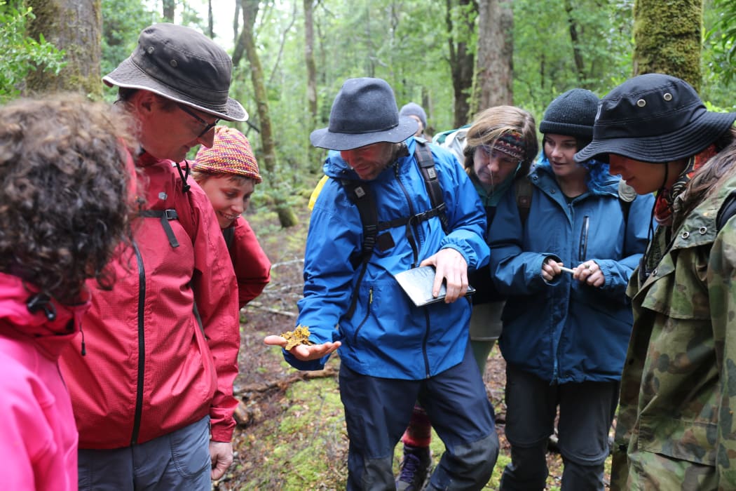 tdmpJwXIZ8vAorEY8jEA