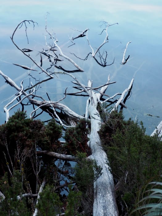 v54ZNdq5SRT5dghE8pXu