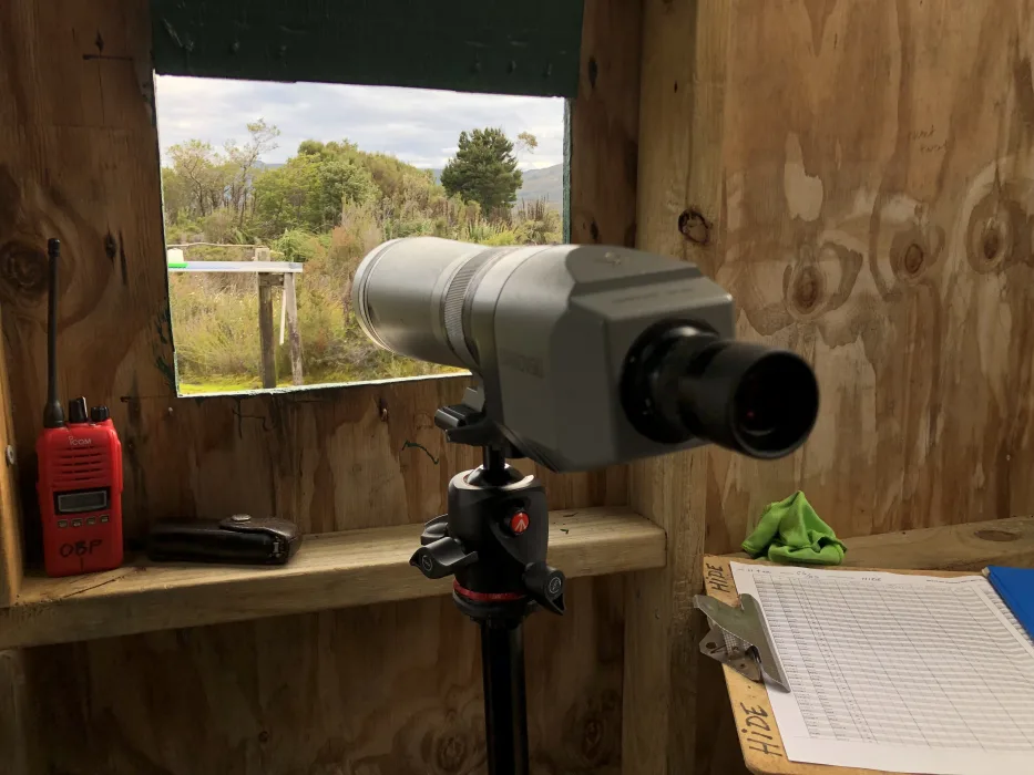 vGCWS9mD4b9rTHzocQzI