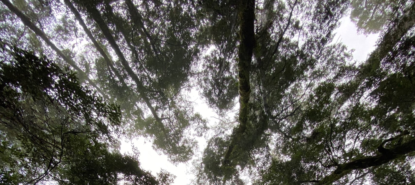 vH46hZmZjEj13M2QHwoX (2)