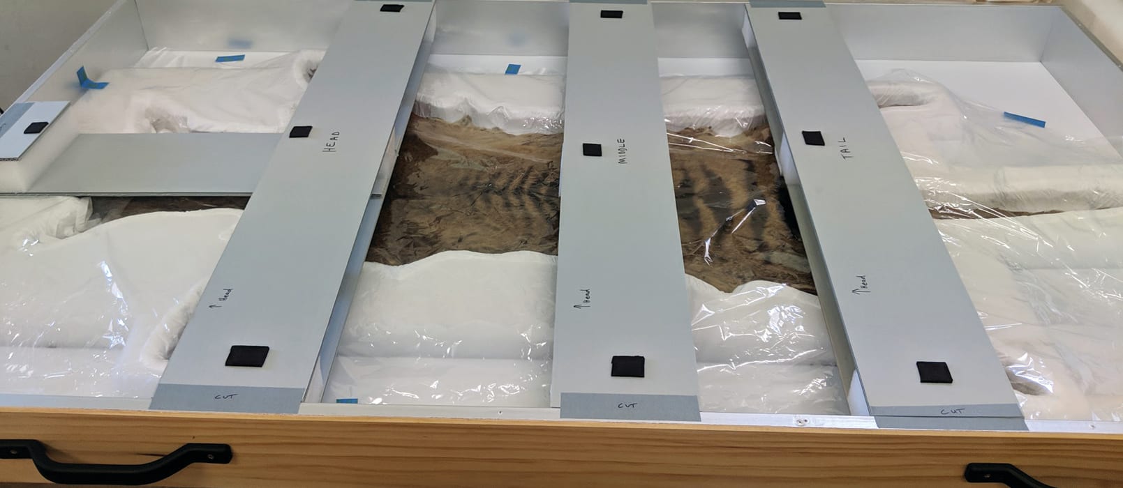 vgogX90ifHDPFwt7unuA