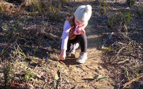 vhdJIUWErbgHXnA9x3Bm