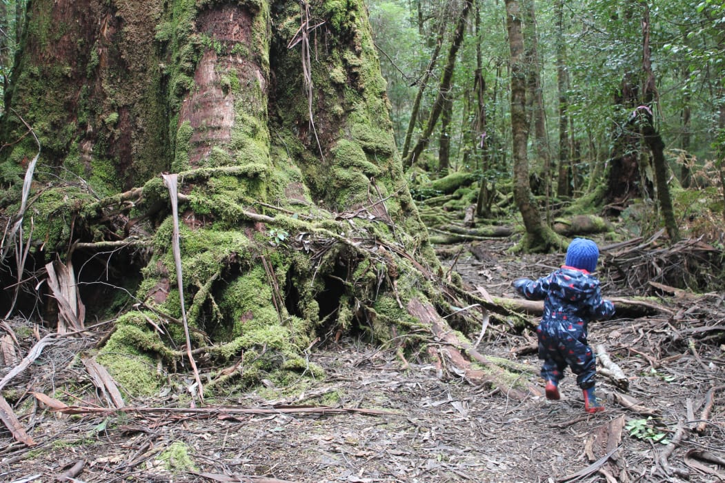 w7pEANczOY307aJuP0Hu