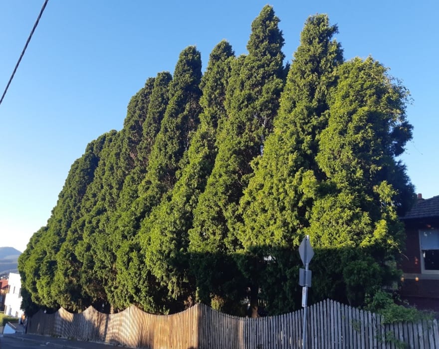 xcQ20BOpLlrHxQMgu0eR