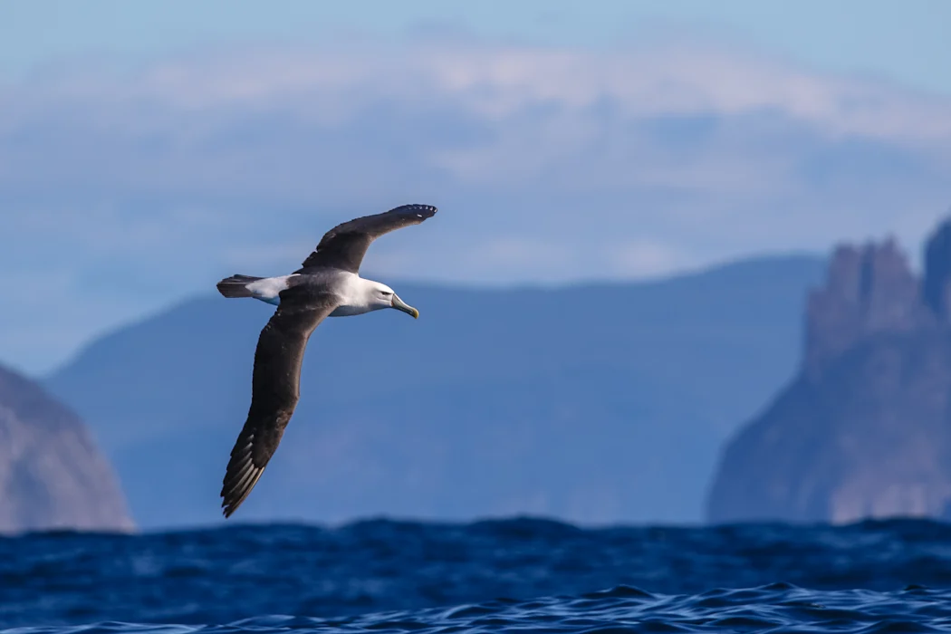 y8nLDnUfGqcJ1ut5J7LB