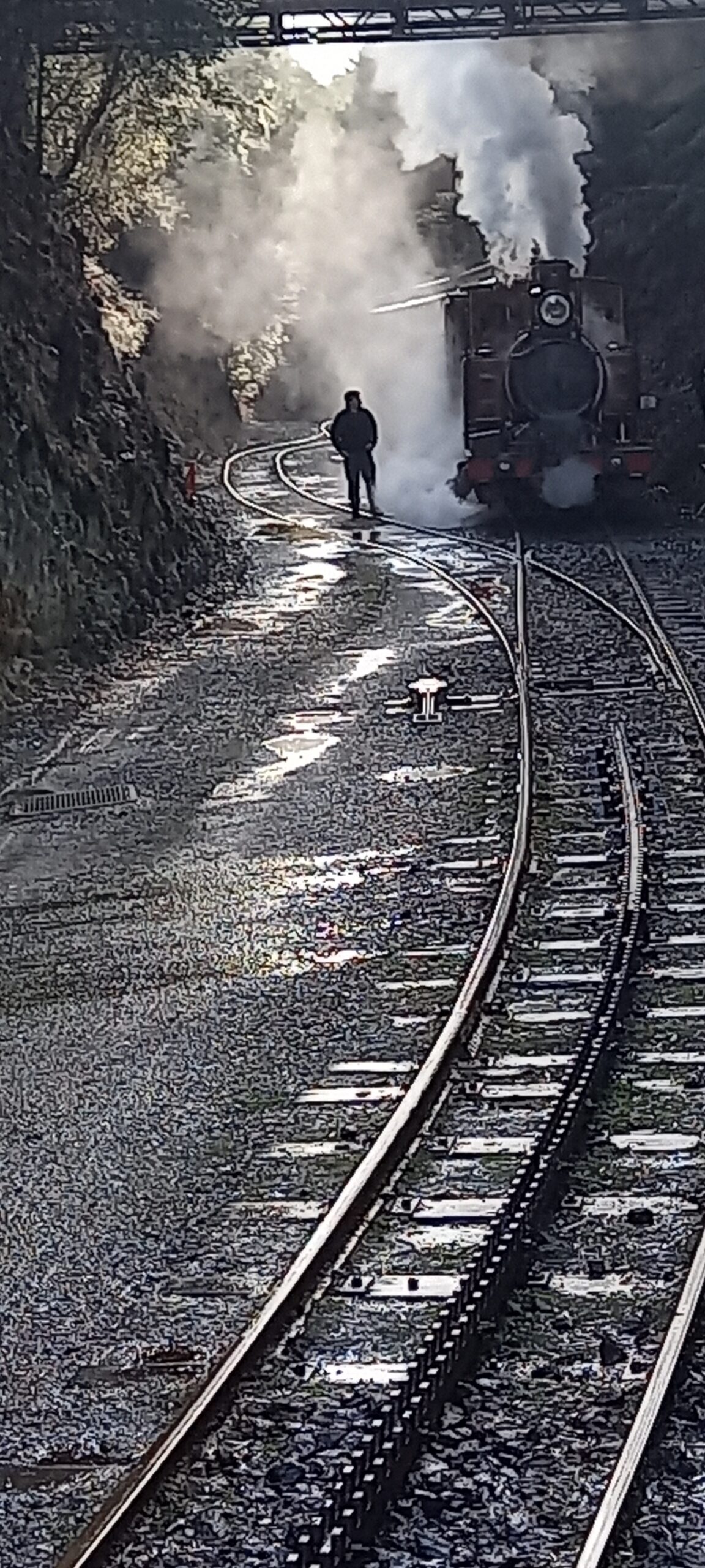 Shunting before engaging the rack and pinion. Photo Henry Johnston
