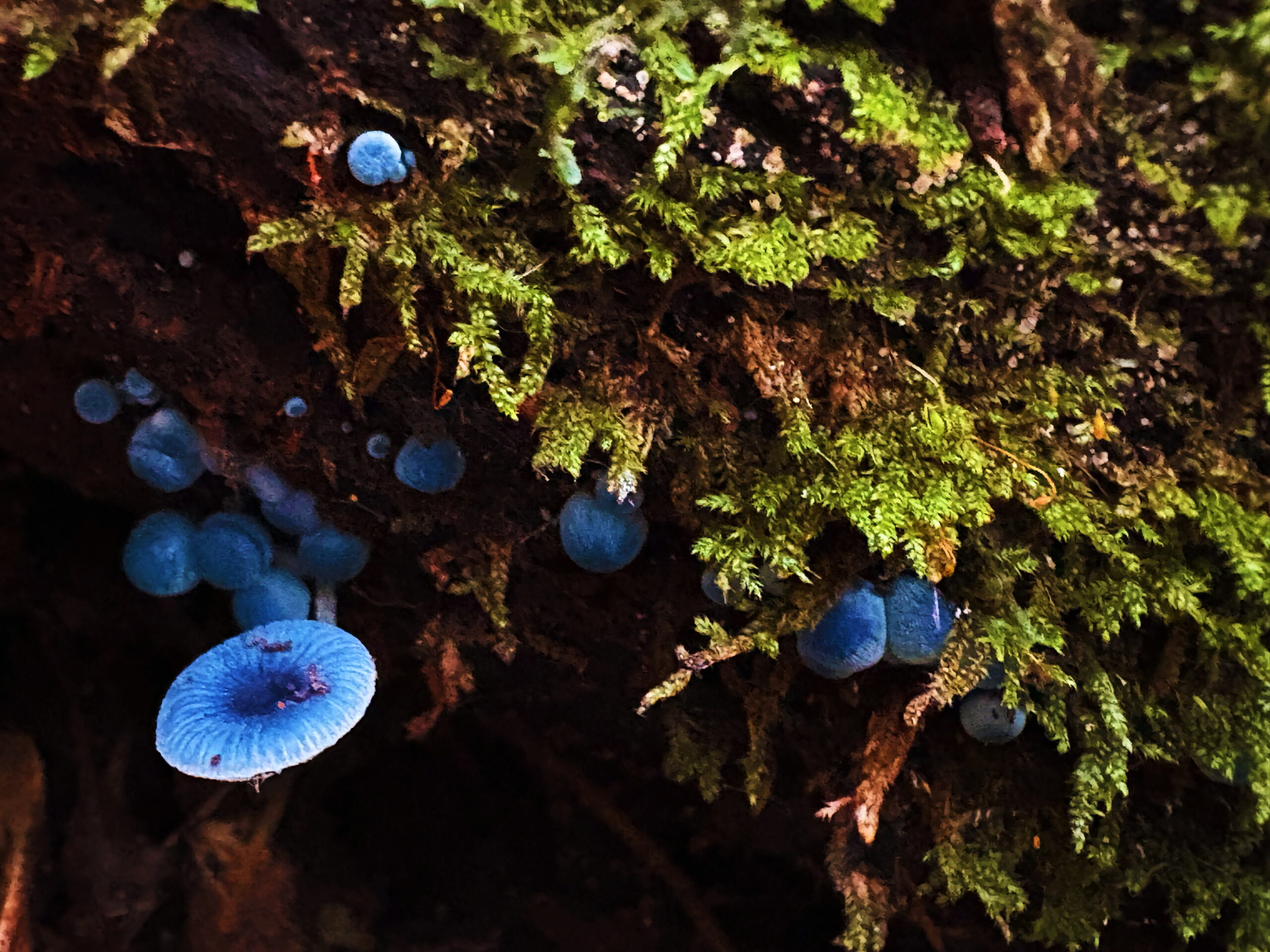 Edited with Afterlight