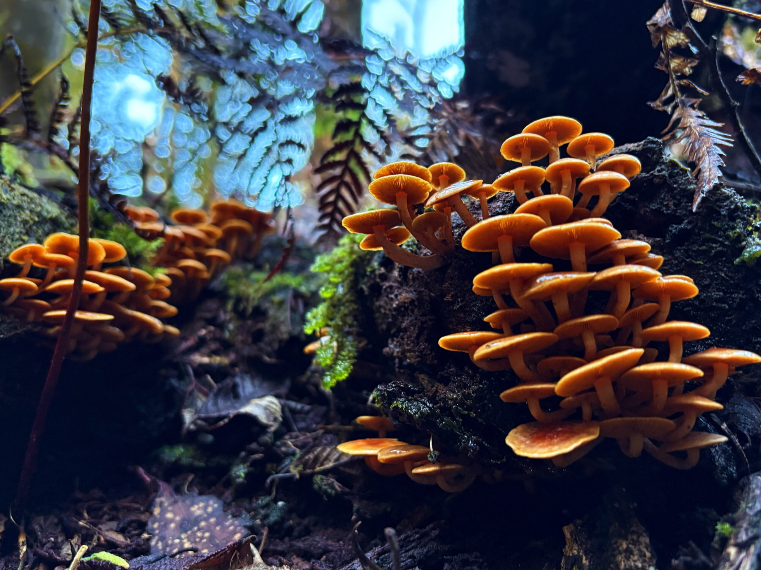 Edited with Afterlight